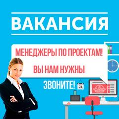 Менеджер проектов вакансии спб